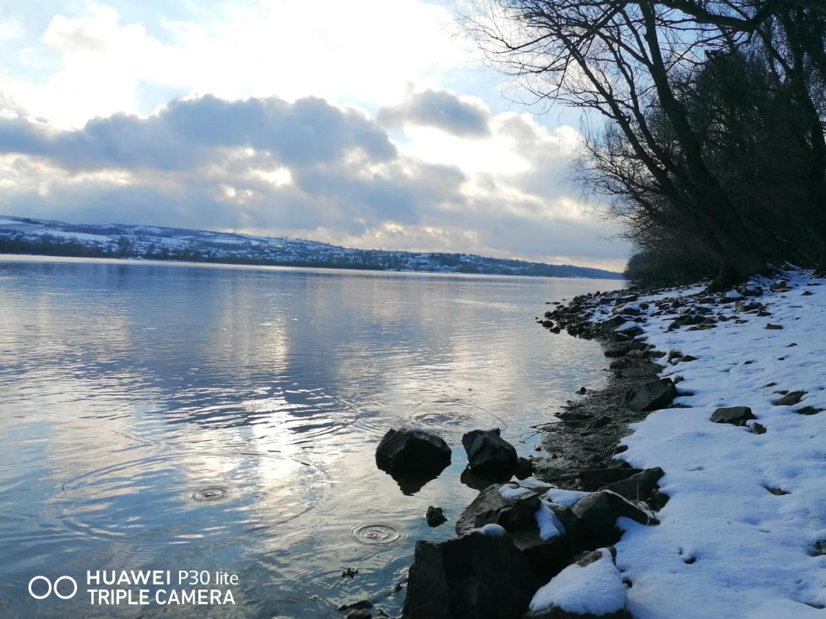FutogDanube Fairy别墅 外观 照片